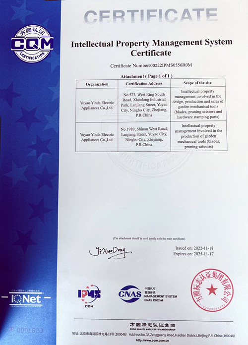 知識產權管理體系認證證書(英文版)